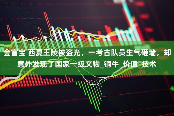 金富宝 西夏王陵被盗光，一考古队员生气砸墙，却意外发现了国家一级文物_铜牛_价值_技术