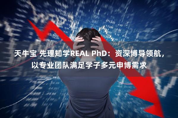 天牛宝 先理知学REAL PhD:资深博导领航,以专业团队满足学子多元申博需求
