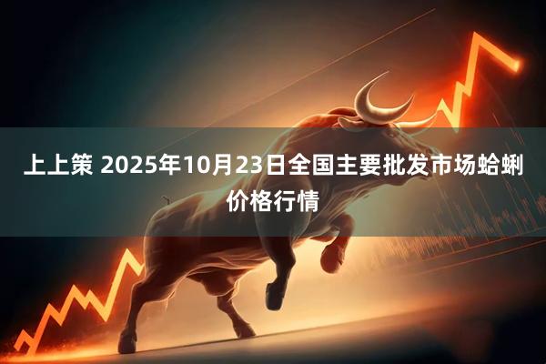 上上策 2025年10月23日全国主要批发市场蛤蜊价格行情