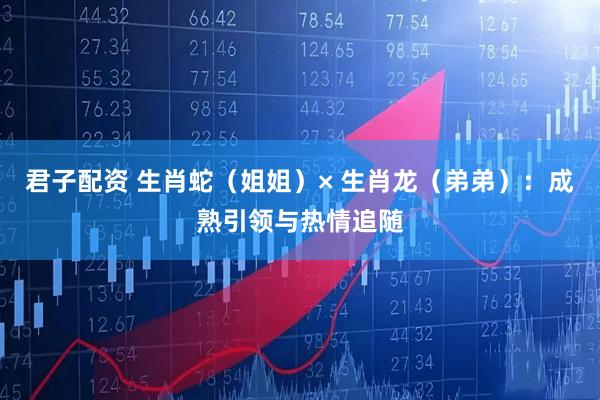 君子配资 生肖蛇（姐姐）× 生肖龙（弟弟）：成熟引领与热情追随